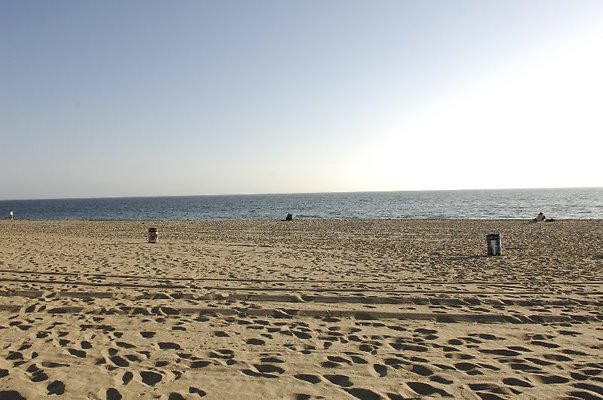  DSC5487