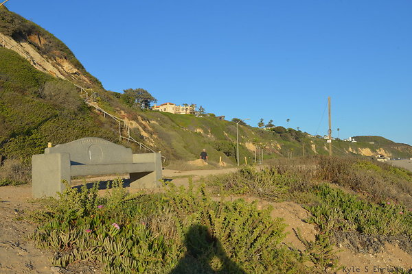 DSC 7437