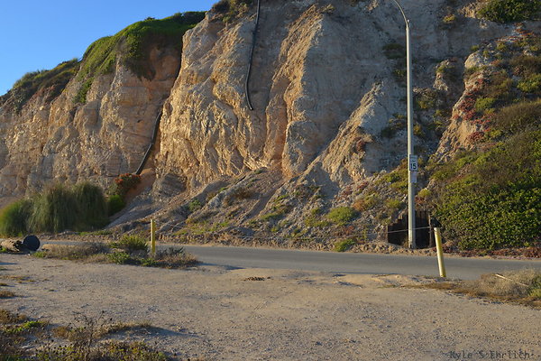 DSC 7456