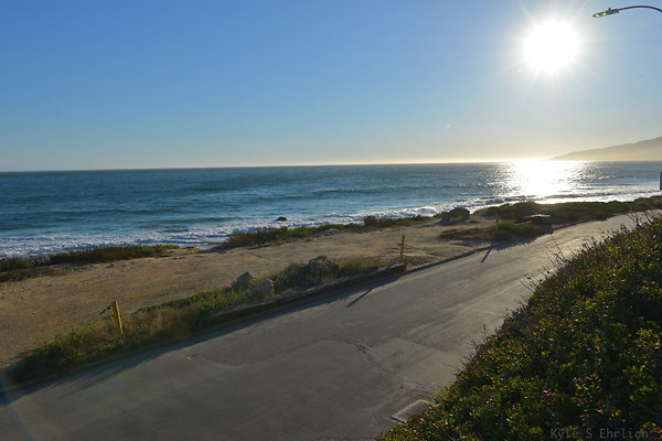 DSC 7363