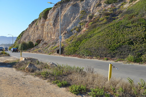 DSC 7162