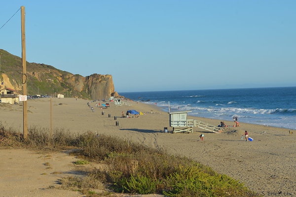 DSC 7421