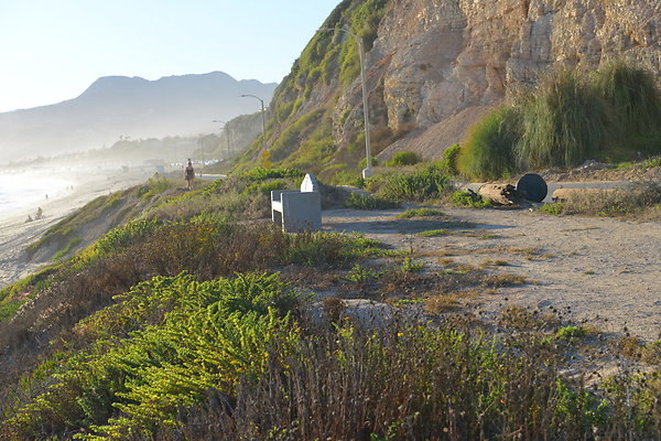 DSC 7453