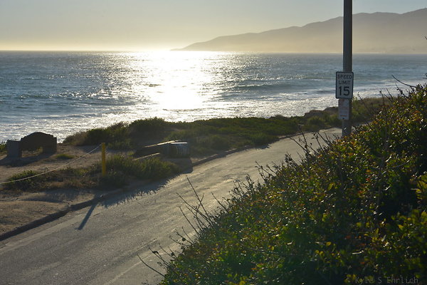 DSC 7371