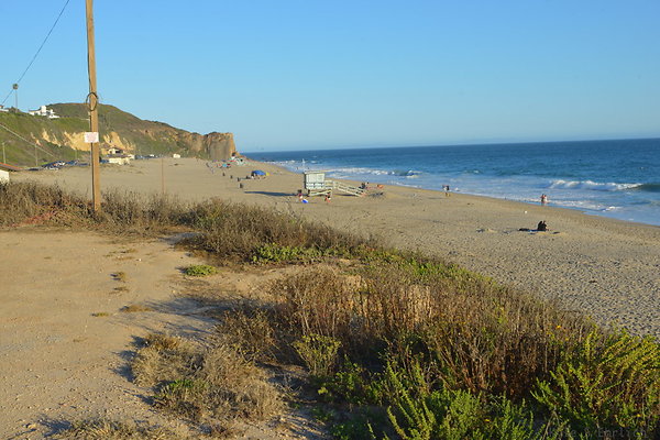 DSC 7432