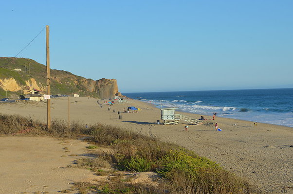 DSC 7422