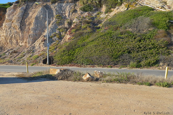 DSC 7174