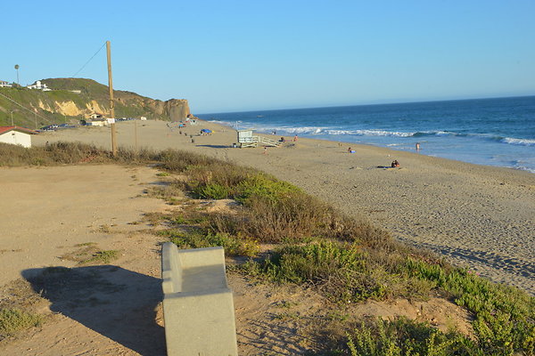 DSC 7415