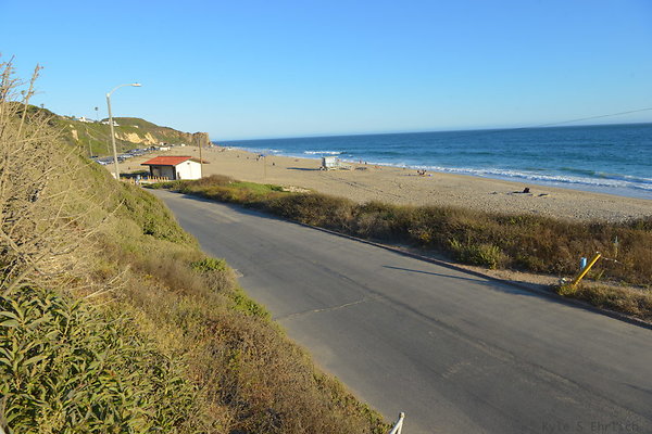 DSC 7366