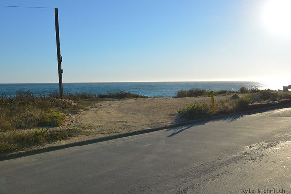 DSC 7355