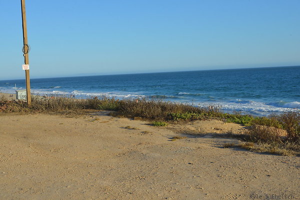 DSC 7429