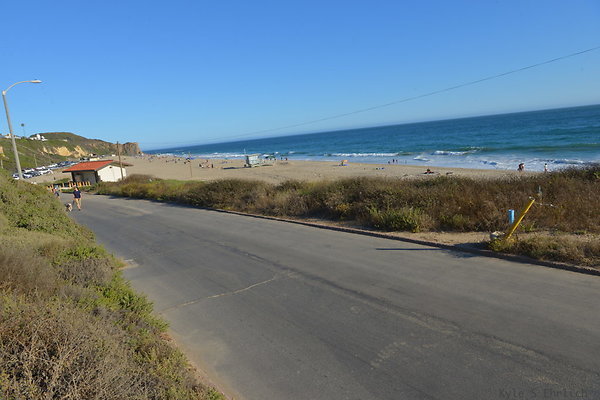 DSC 7247