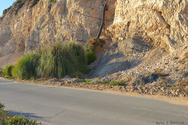 DSC 7401