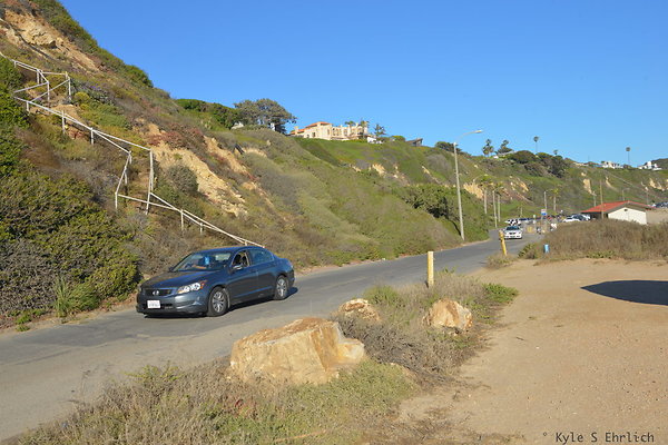 DSC 7223
