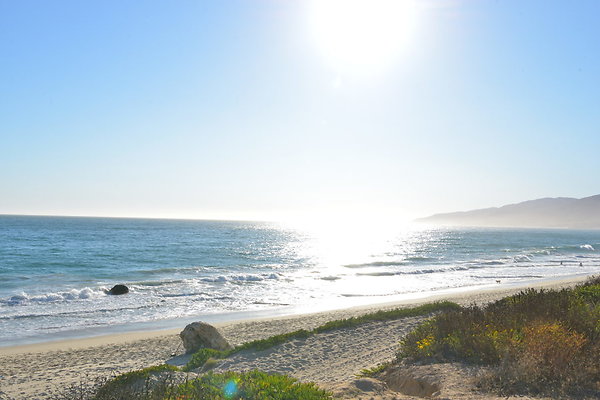DSC 7295