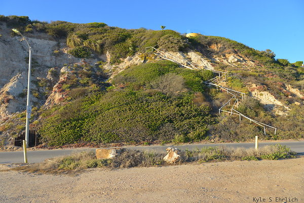 DSC 7461
