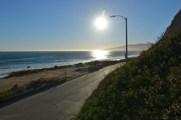DSC 7369