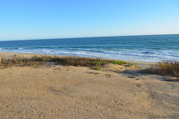 DSC 7439