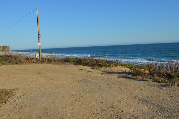 DSC 7428