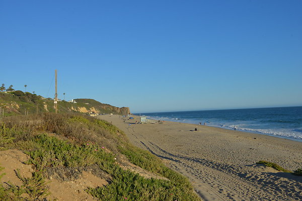 DSC 7438
