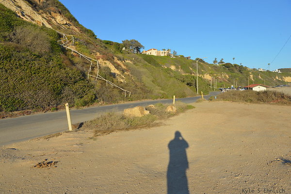 DSC 7433