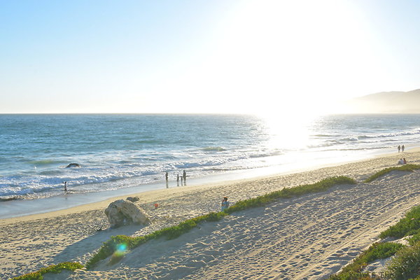 DSC 7454