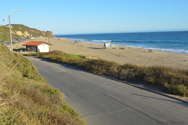 DSC 7367