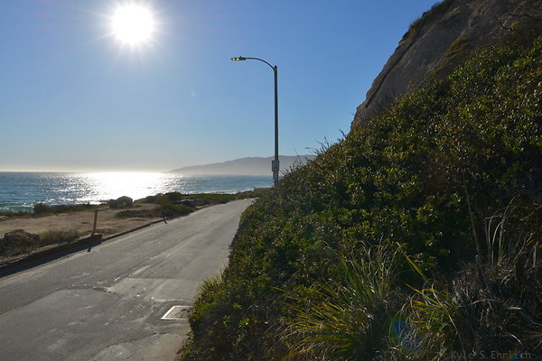 DSC 7243