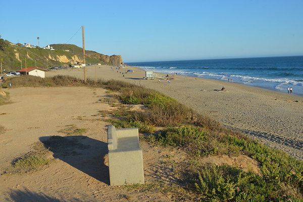 DSC 7423
