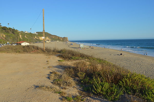 DSC 7431