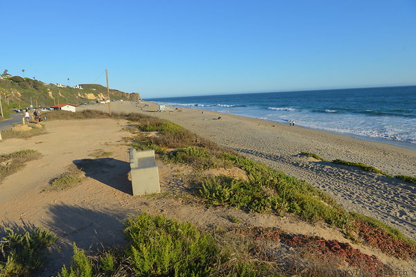 DSC 7413