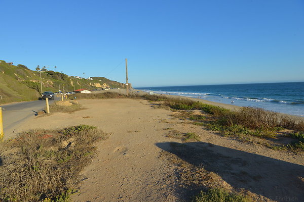 DSC 7424