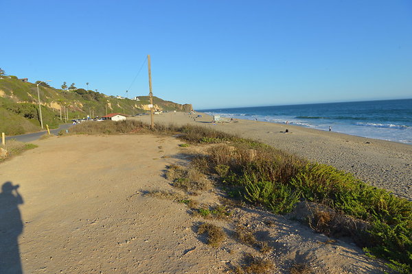 DSC 7430