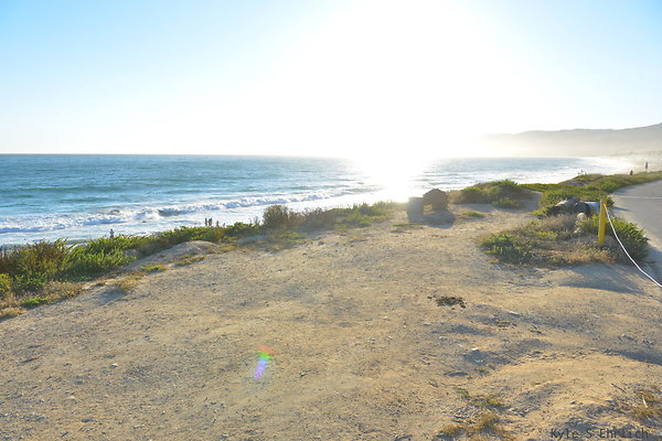 DSC 7444
