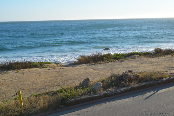 DSC 7359