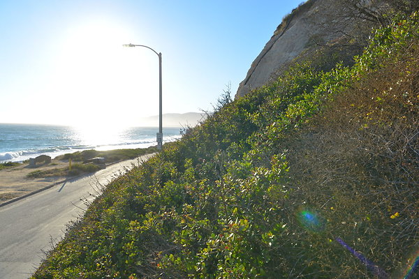 DSC 7362