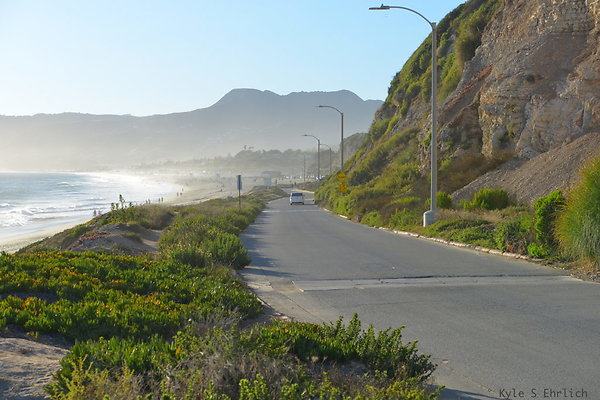 DSC 7398