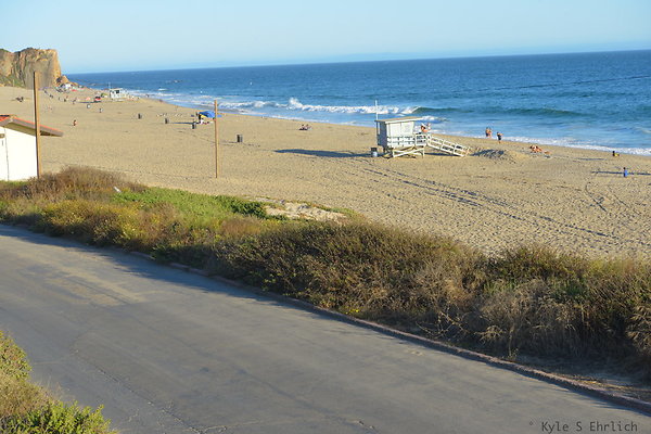 DSC 7368