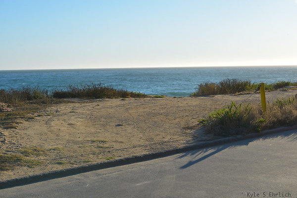 DSC 7356