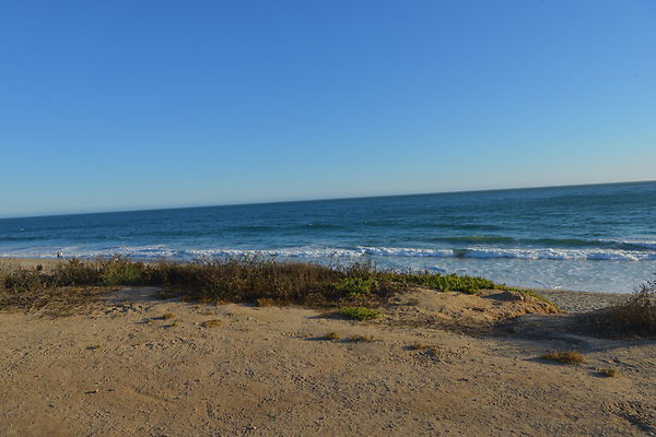 DSC 0050