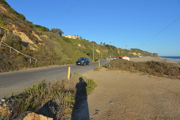 DSC 0056