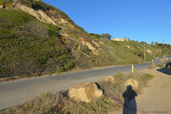 DSC 9920