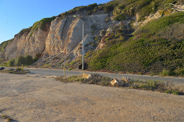 DSC 0072