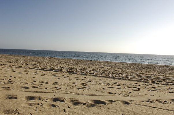  DSC5369