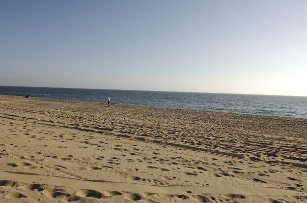  DSC5382