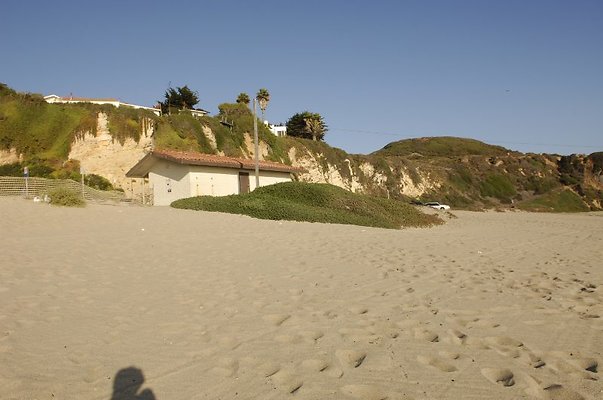  DSC5394