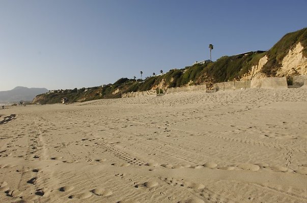  DSC5392