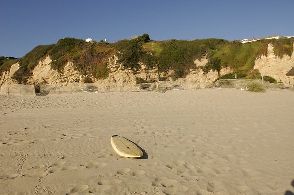  DSC5393