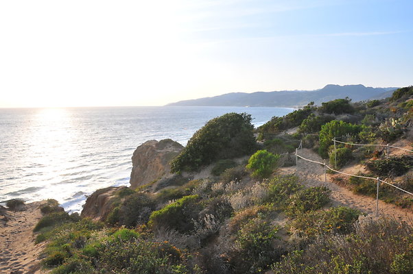 DSC 1065