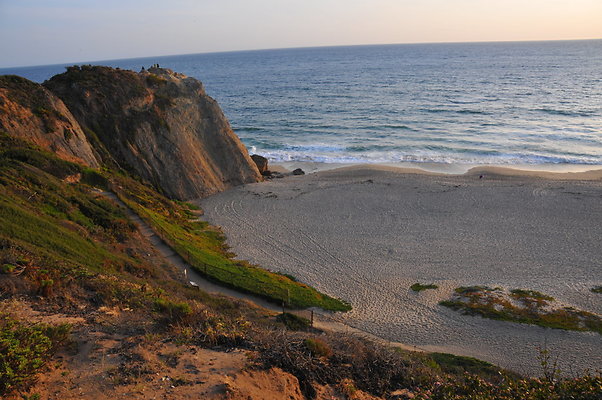 DSC 1137